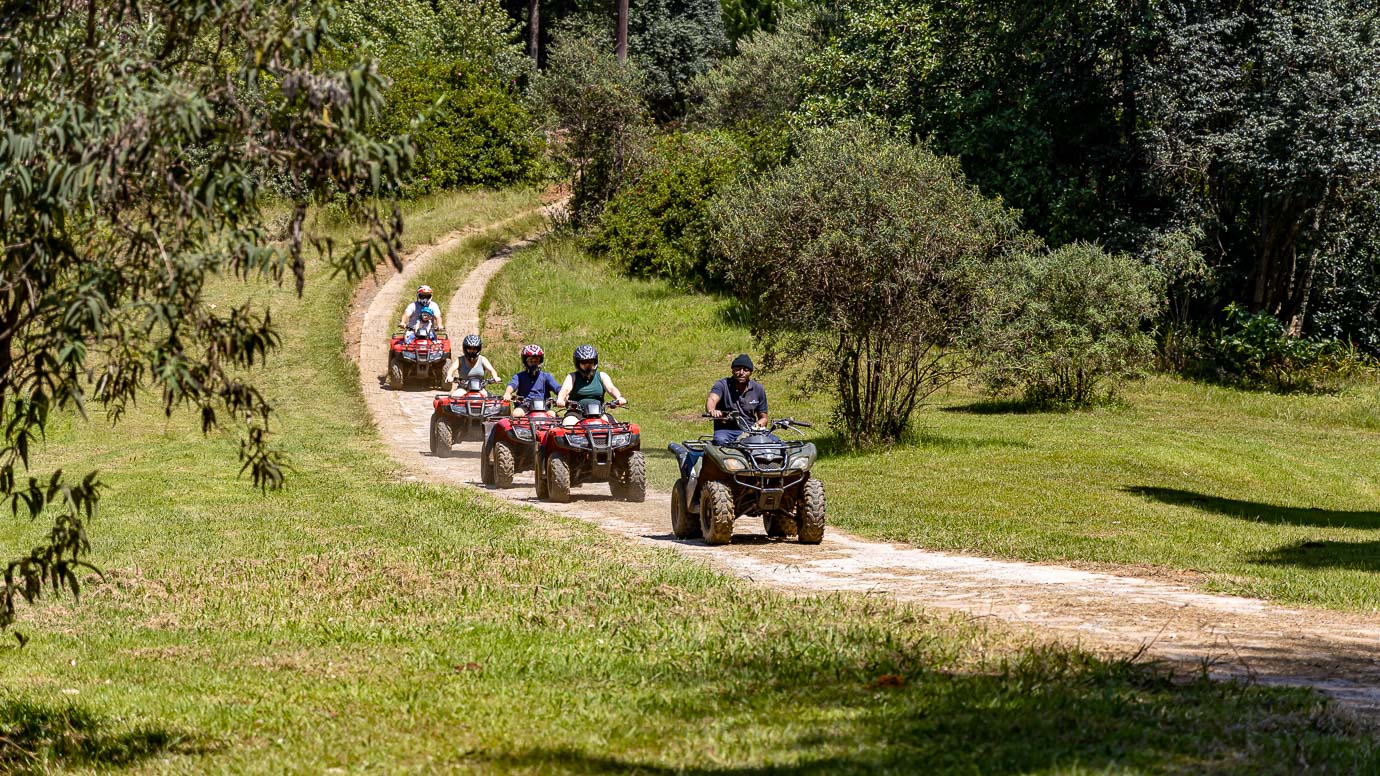 A group following a guide on quad bikes along a woodland trail